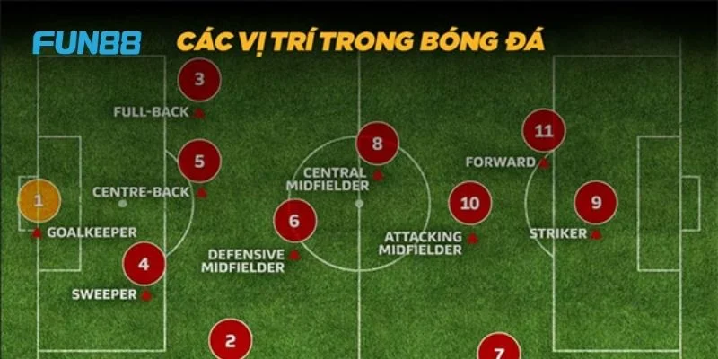 Thuật Ngữ Bóng Đá Fun88 - Kiến Thức Nhập Môn Thể Thao Vua 2 Cần tìm hiểu về thuật ngữ bóng đá Fun88 về vai trò các cầu thủ trên sân.